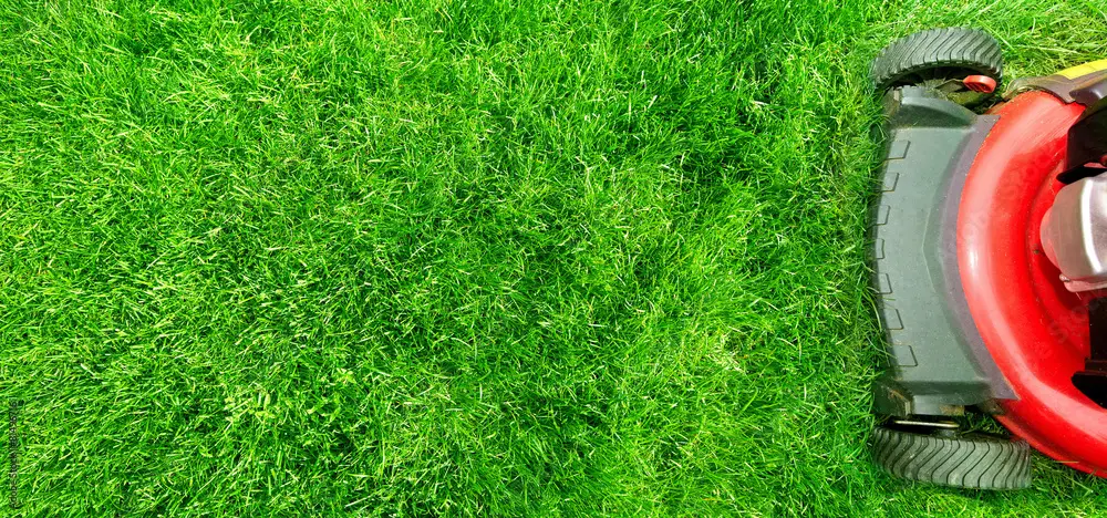 چمن بدون نیاز به co2