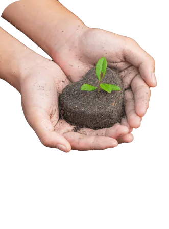 img1 grow plant